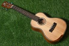 DCT DUC-450 Concert_3