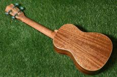 DCT DUC-450 Concert_4