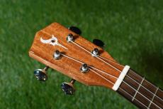 DCT DUC-450 Concert_5
