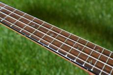 DCT DUC-450 Concert_7