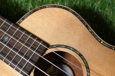 DCT DUC-450 Concert_9