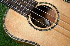 DCT DUC-450 Concert_10