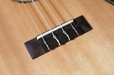 DCT DUC-450 Concert_11