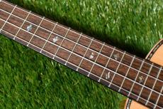 DCT DUC-450 Concert_15