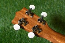Famous FS-5G Soprano_6