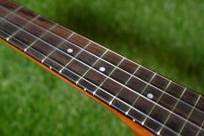Famous FS-5G Soprano_7