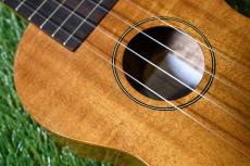 Famous FS-5G Soprano_10