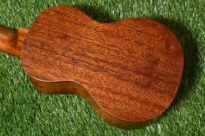 Famous FS-1G Soprano_2