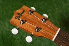 Famous FS-1G Soprano_5