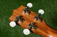 Famous FS-1G Soprano_6