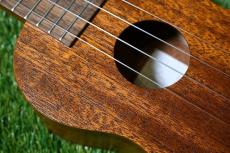 Famous FS-1G Soprano_10