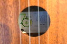 Famous FS-1G Soprano_15