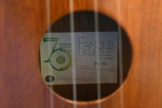 Famous FC-1G Concert_15