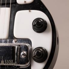 Rickenbacker Model-B 7string_4