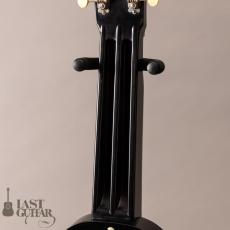 Rickenbacker Model-B 7string_9