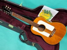 Epiphone FT-95 FOLK STER