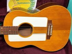 Epiphone FT-95 FOLK STER_2