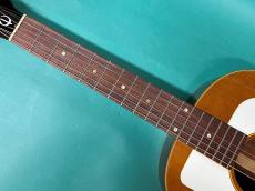 Epiphone FT-95 FOLK STER_7