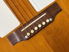Epiphone FT-95 FOLK STER_10