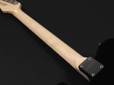 SCHECTER OL-PT-CTM -Japan Original Line-_10