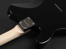 SCHECTER OL-PT-CTM -Japan Original Line-_11
