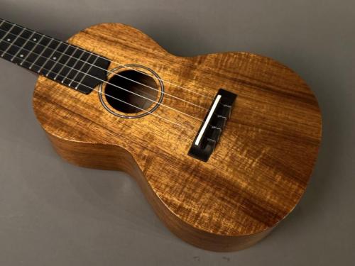 tkitki ukulele HK-2C Concert