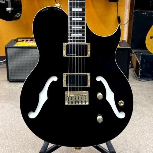 FERNANDES MV-95HT