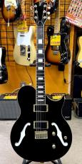 FERNANDES MV-95HT_3