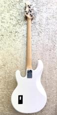 Sterling by MUSIC MAN RAY34_4