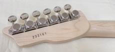 SAITO GUITARS S-622TLC_11
