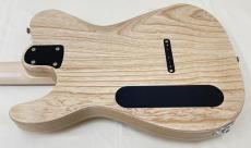 SAITO GUITARS S-622TLC_14