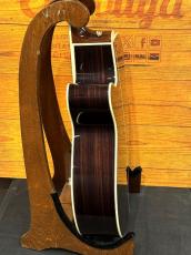 Takamine 【100本限定】RNV460C【特別生産モデル】【デュアルピックアップシステム】_10