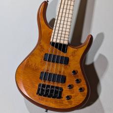 MTD Kingston Z5 -Satin Amber-【4.19kg】