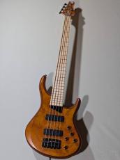 MTD Kingston Z5 -Satin Amber-【4.19kg】_2