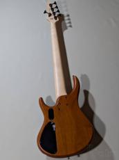 MTD Kingston Z5 -Satin Amber-【4.19kg】_3