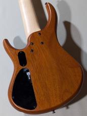 MTD Kingston Z5 -Satin Amber-【4.19kg】_4