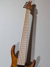 MTD Kingston Z5 -Satin Amber-【4.19kg】_6