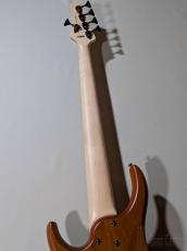 MTD Kingston Z5 -Satin Amber-【4.19kg】_7