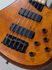 MTD Kingston Z5 -Satin Amber-【4.19kg】_9