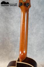 aNueNue aNN-Kyas Black Whale Tenor Ukulele (2023)_9