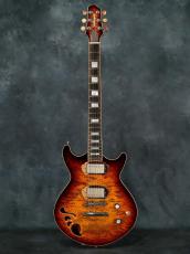 Rokugen Custom Semi Hollow_2
