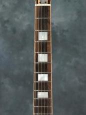Rokugen Custom Semi Hollow_4