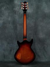 Rokugen Custom Semi Hollow_10