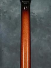 Rokugen Custom Semi Hollow_12