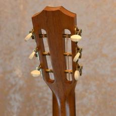 Taylor 412ce 12-Fret LTD_5