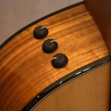 Taylor 412ce 12-Fret LTD_6