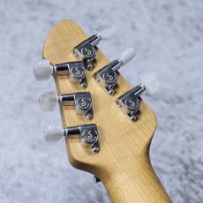 PEAVEY HP2 POPLAR BURL「Natural」NEW モデル!  良杢個体!_9