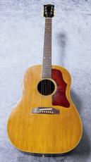 Gibson 【Gibson Expo 出展品】ADJ J-50'64【1964年製】_2