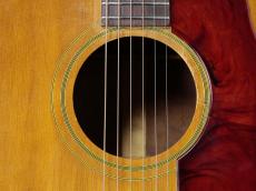 Gibson 【Gibson Expo 出展品】ADJ J-50'64【1964年製】_5