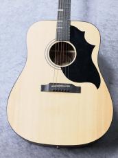 Gibson 【Gibson Expo 出展品】G-Bird #22352058【中古】【美品】